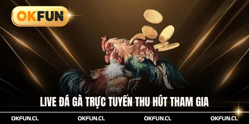 Live đá gà trực tuyến thu hút đông đảo thành viên tham gia
